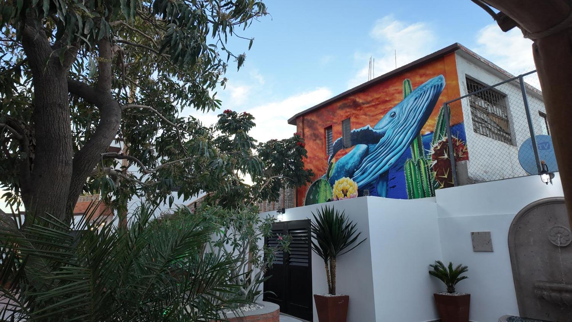 Marjor Suites La Paz Zewnętrze zdjęcie